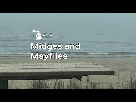 EPISODE 28 Midges and Mayflies