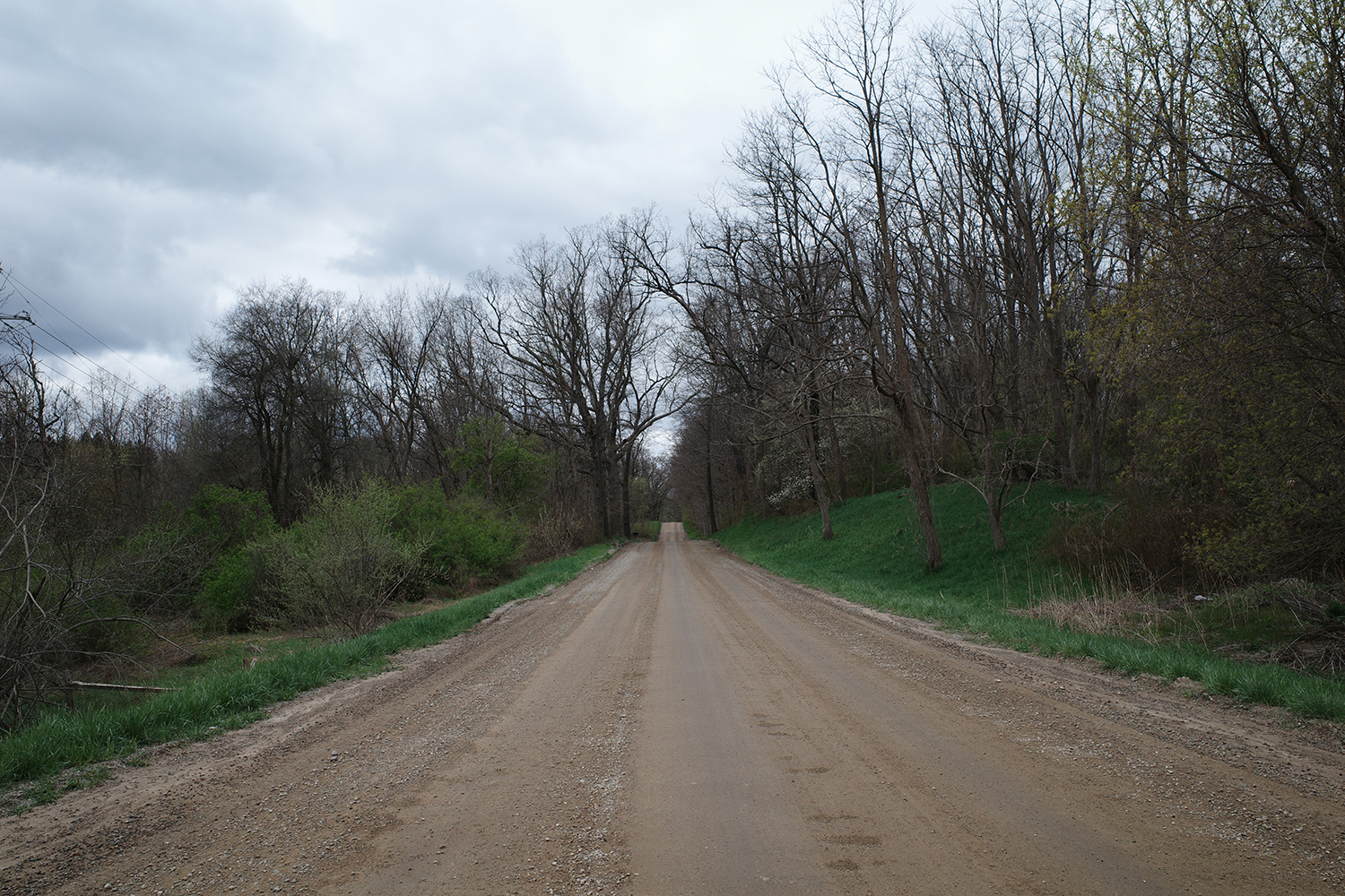 Dirt road heading through the forest off to the horizon on a cloudy day.