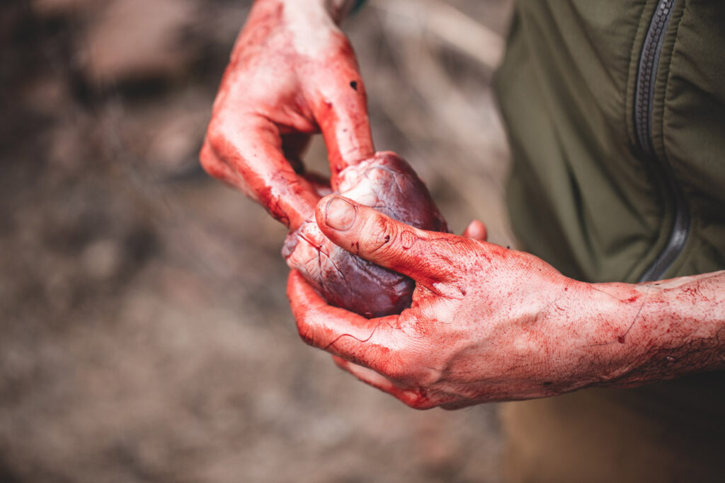 Man’s hands smeared with blood holding a bear heart.
