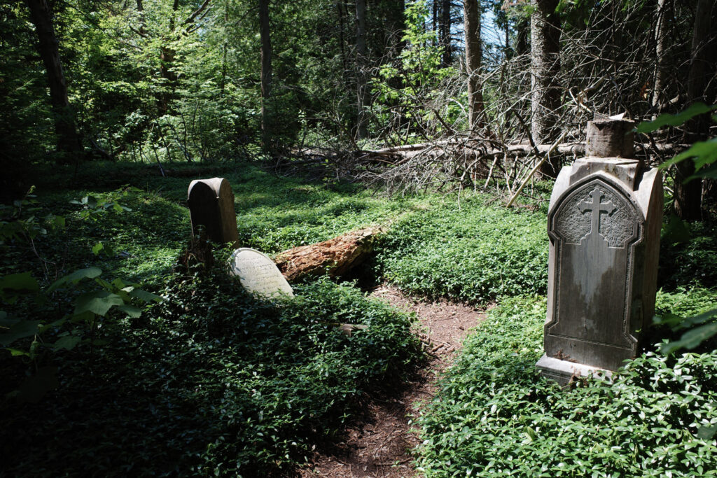 Tilted gravestones in overgrown forest.