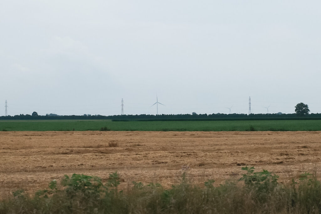 Distant windmills and power lines in farmland.