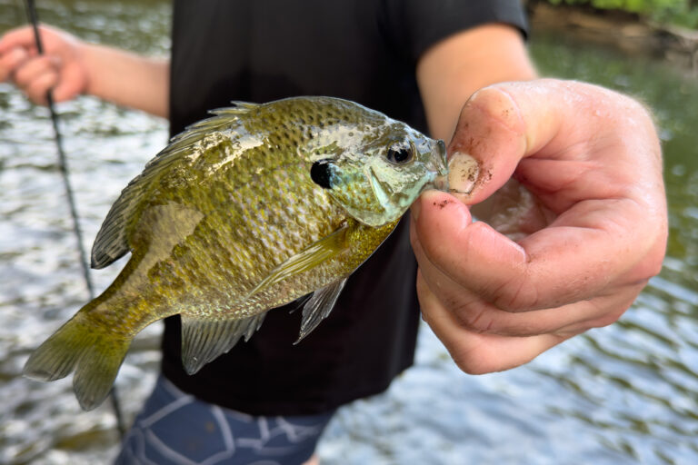 Man holding fish in one hand and reel in other.