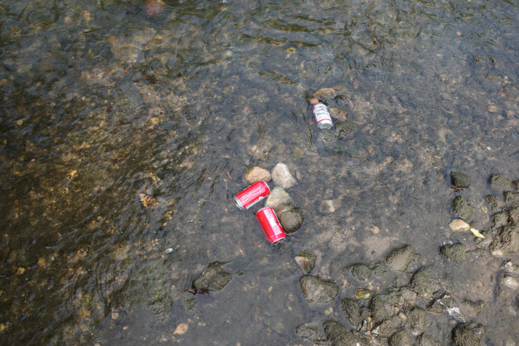 Cans of Budweiser beer floating in river.