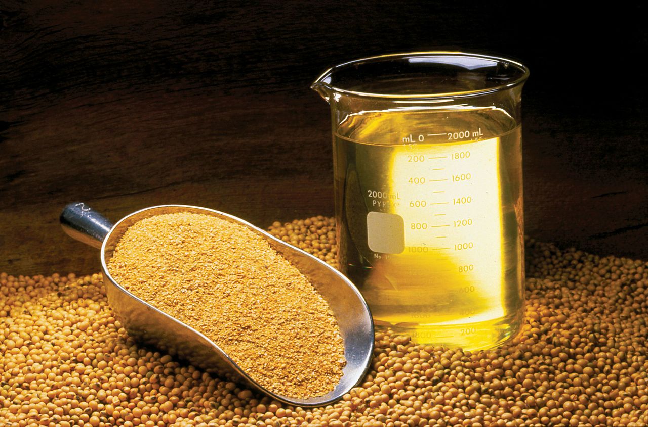 Soybean oil in glass jar, soybeans and soybean meal.