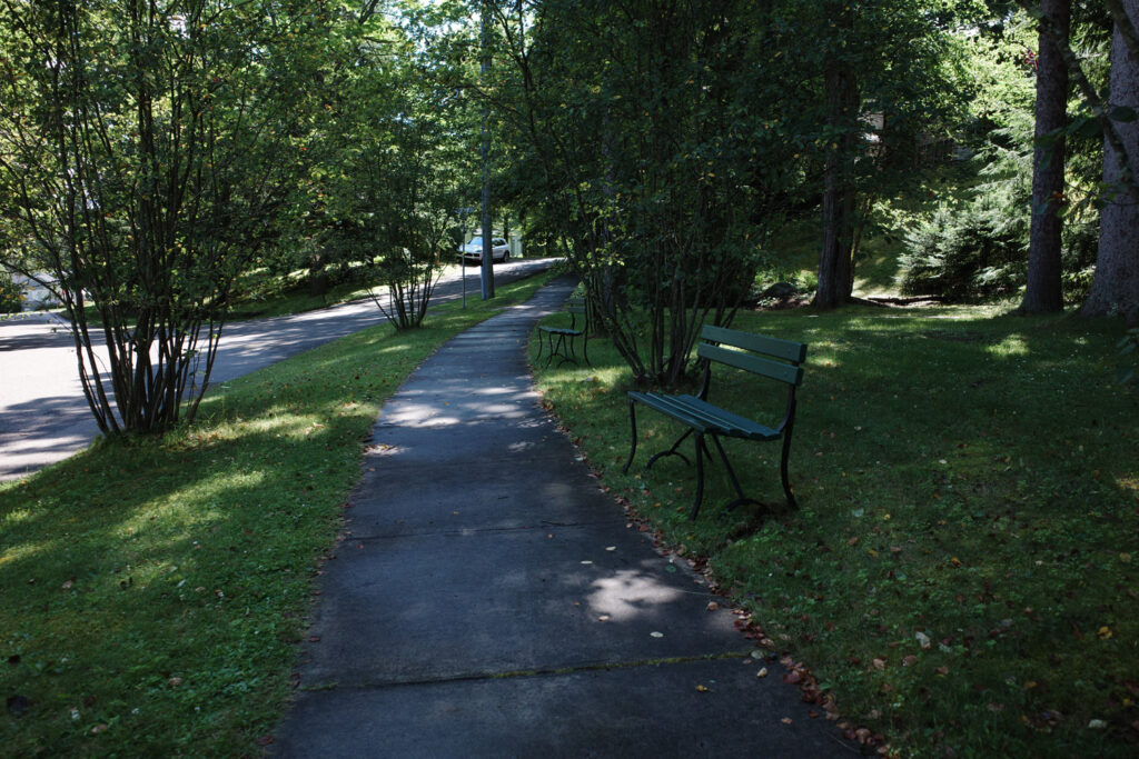 Winding road and sidewalk with bench.