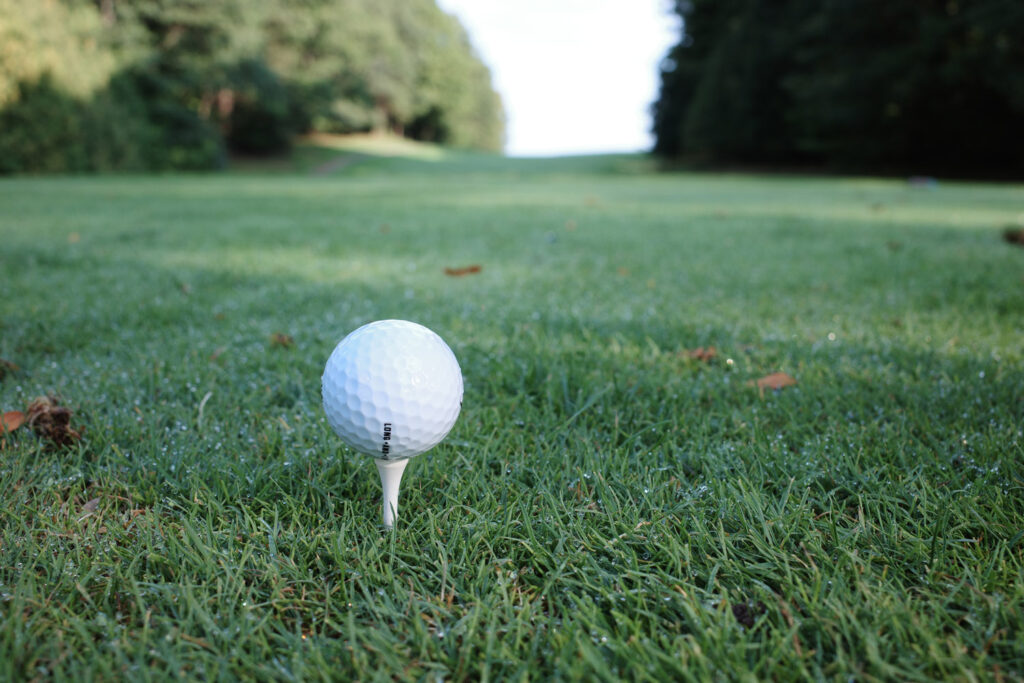 Golf ball on tee.