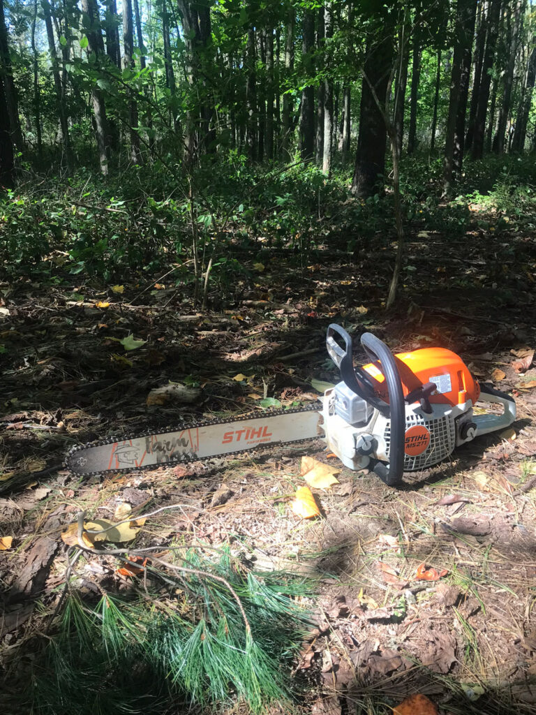 Chainsaw in forest.