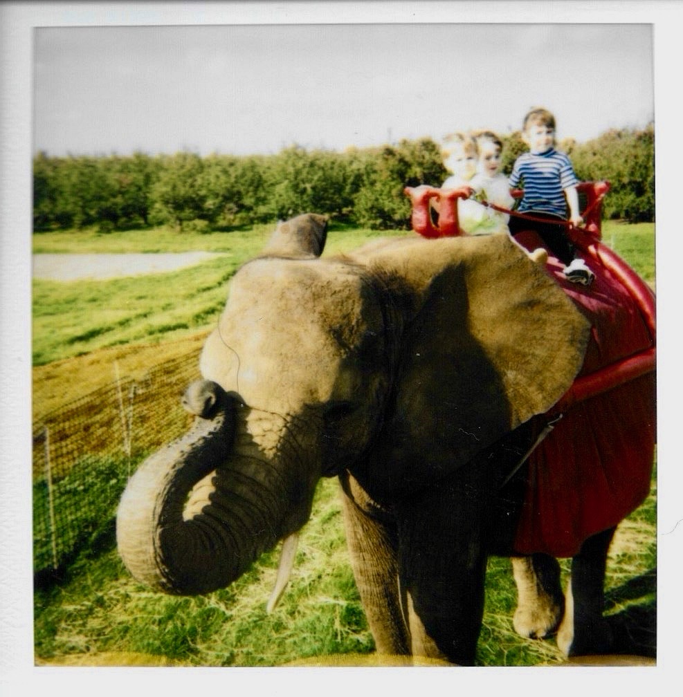 Elephant with children riding it.