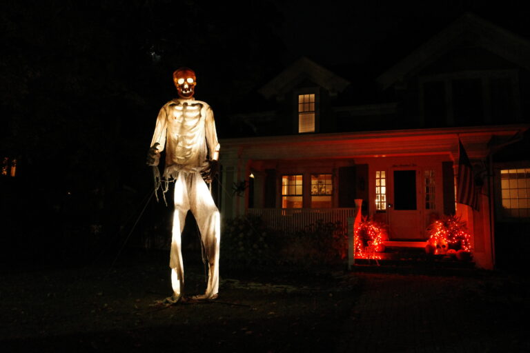 Giant skeleton halloween display