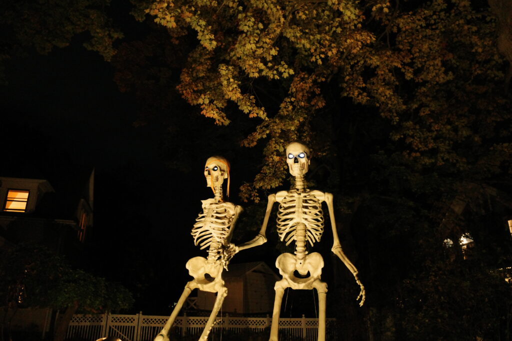 Giant skeleton halloween display