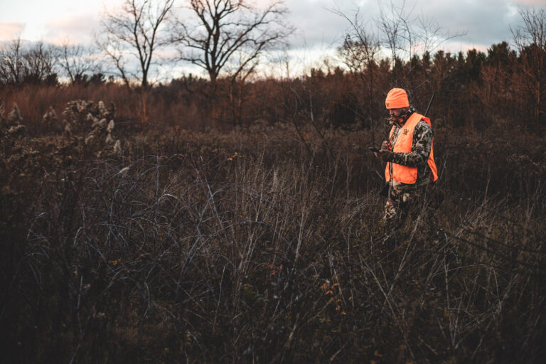 Man in field in orange hunting gear