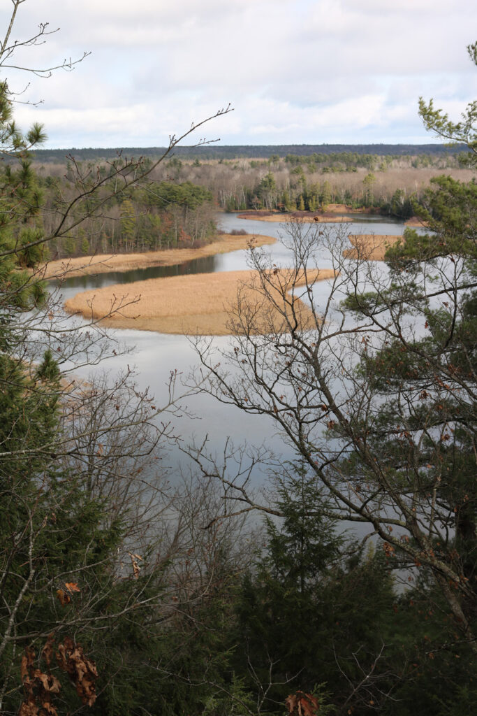 View of Huron-Manistee National Forest