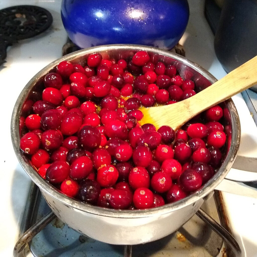 Fresh cranberries in pot on stove