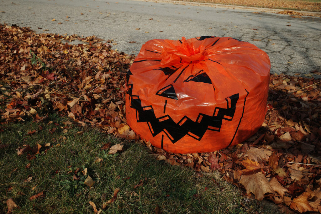 Leafs in jack o lantern bag