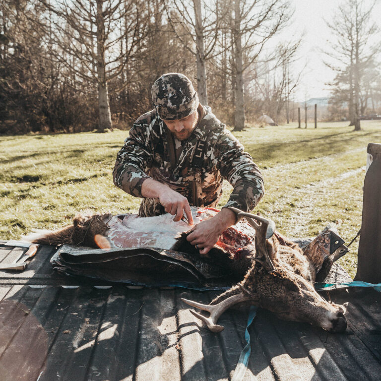 Man gutting deer in truck bed