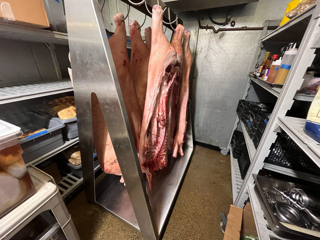 Meat carcasses hanging on hooks