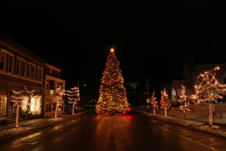 Christmas tree in downtown street lit up at night