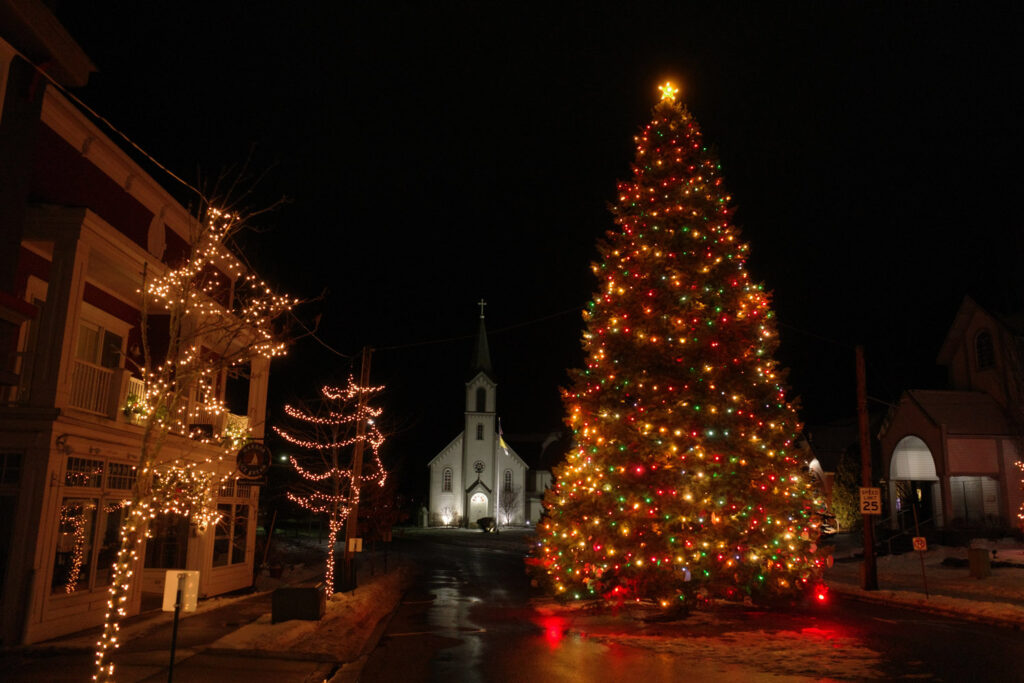 Christmas tree in downtown street lit up at night