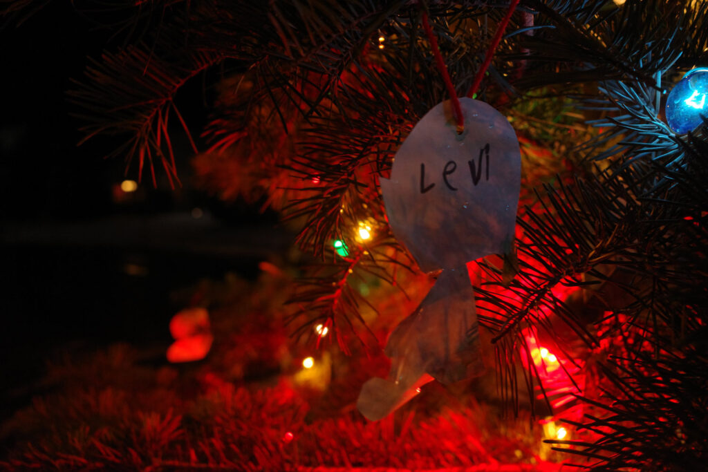 Christmas tree in downtown street lit up at night, ornament detail