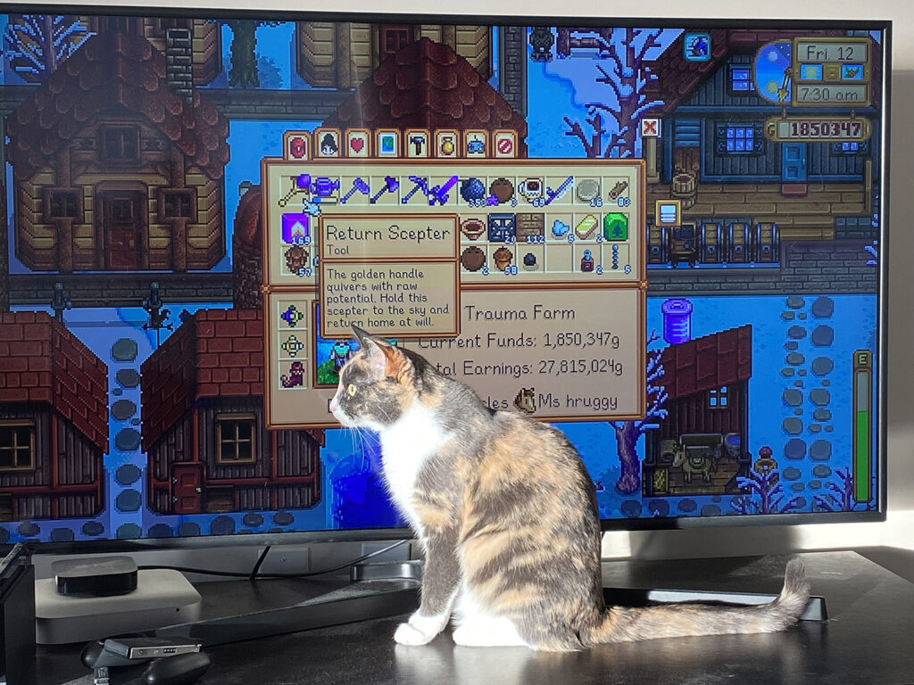 stardew valley on monitor with cat in front of it