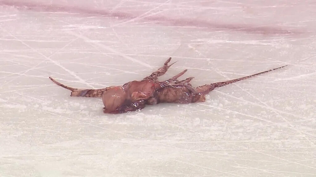 When the Red Wings Win, Octopi Fly