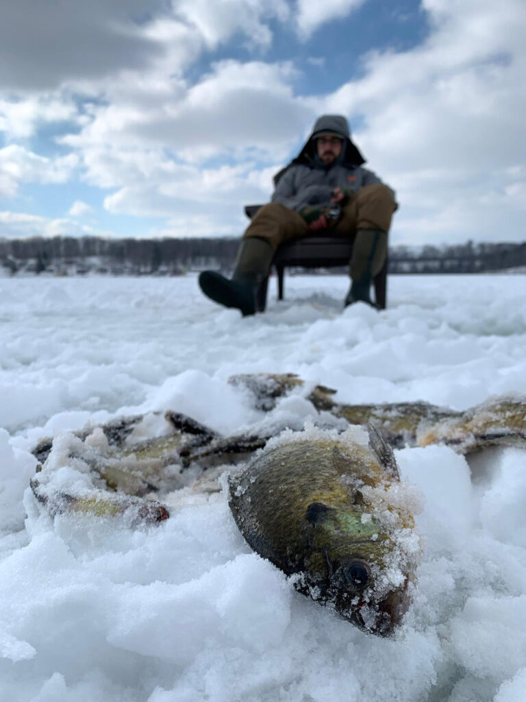 Man sitting on chair on ice with frozen fish in foreground