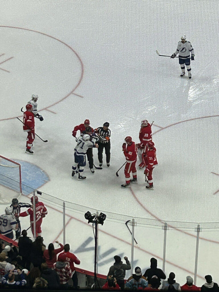 red wings and lightning players fighting