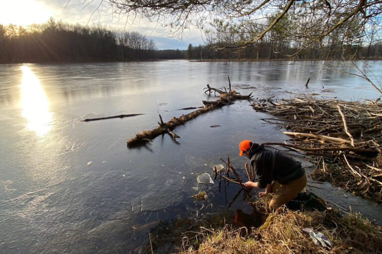 Man setting trap in lake