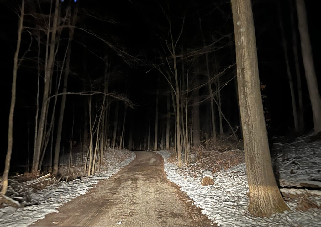 Dirt road in forest at night