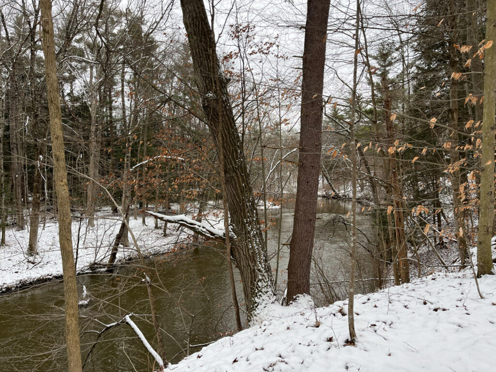 River scene with snow and trees