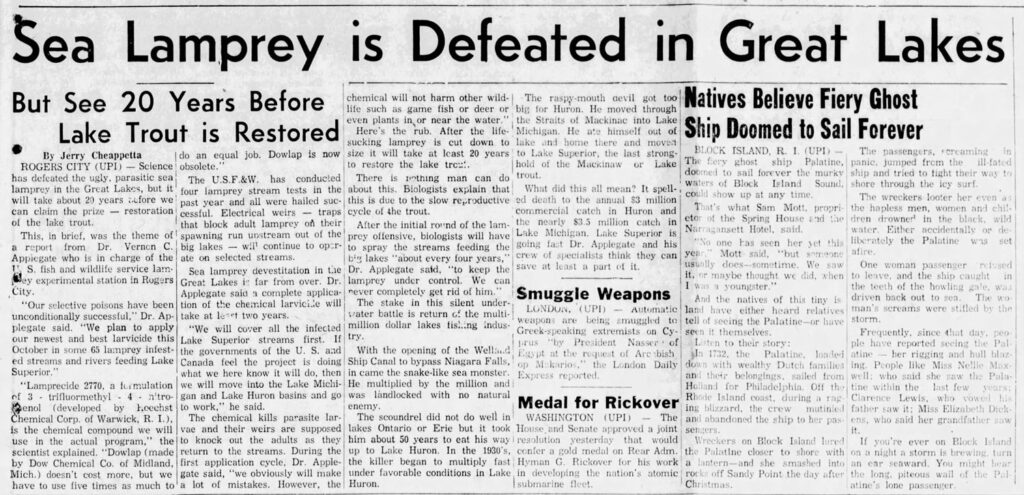 Newspaper clipping reading "Sea Lamprey is Defeated in Great Lakes
But See 20 Years Before
chemical will not harm other wild-
The raspy-mouth aevil
got too
life such as game fish or deer or big for Huron. He moved through
Natives Believe Fiery Ghost
Lake Trout is Restored
even plants in or near the water."
the Straits of Mackinac into Lake
Here's the rub.
After the life- Michigan. He ate himself out of
sucking lamprey is cut down to lake
and home there
and moved
Ship Doomed to Sail Forever
By Jerry Cheappetta
ROGERS CITY (UPI) - Science
Ido an equal job. Dowlap is now si restore ta lake cast 20 years told oe su inche ast range
BLOCK ISLAND, R. I. (UPD
The passengers, ‹creaming
to restore the lake trout.
hold of the Mackinaw
The fiery ghost
in
ship
Palatine,
panic, jumped frem the ill-fated
has defeated the ugly, parasitic sea
The U.S.F.&W.
has
conducted
There is nething
man
can do trout.
doomed to sail forever the murky
ship and tried to fight their way to
waters of Block
Island
Sound,
lamprey in the Great Lakes, but it four lamprey stream tests in the about this. Biologists explain that
What did this all mean? It spell,
shore through the icy surf.
will take about 20 years tefore we
past year and all were hailed suc- this is due to the slow reproductive ed death to the annual $3 million
could show up at any time.
The wreckers looter her even as
can claim the prize - restoration cessful.
Electrical weirs -
traps cycle of the trout.
commercial
catch in Huron and
That's what Sam Mott,
propri- the hapless men, women and chil-
of the lake trout.
that block adult lamprey on their
After the initial round of the lam- the nearly $3.5 million catch in etor of the
Spring House and the dren drowner in the black, wild
This, in brief, was the theme of' spawning run unstream out of the
Narragansett Hotel, said.
water. Either accidentally or de
prey offensive, biologists will have
Lake Michigan. Lake Superior is
a report from
Dr.
Vernen
big lakes
- will continue to oper- to spray the streams feeding the
going fast Dr. Applegate and his
"No one has seen her yet this liberately the Palatine
wis
set
Appiegate who is in charge of the ate on selected streams.
big lakes "about every four years,"
crew of specialists think they can
year."
Mott said,
"but someong afire.
S. fish and wildlife service lam.
Way sperimental staton th Rugers
Sea lamprey devestitation in the Dr.
Applegate said.
"to keep the
save at least a part of it.
usually does-sometime. We saw
One woman passenger
Telused
it, or maybe thought we did, when to leave, and the ship caught
Great Lakes is far from over. Dr.
lamprey
under control.
in
City.
Applegate said a complete applica-
never completely get rid of him.an
I was a youngster."
the teeth of the howling gale, was
"Our selective poisons have been tion of the chemical larvicile will
The stake in this silent under-
Smuggle Weapons
And the natives of this tiny is
driven back out to sea.
The wol
water battle is return of the multi-
LONDON.
(UPD
Automatic land have either heard
man's screams were stifled by the
unconditionally successful," Dr. Ap. take at lesst two years.
weapons are
being
smuggled
relatives
te
apply
tell of seeing the Palatine-or have storm.
plegate said.
"We plan to
"We will cover all the infected
million dollar lakes fishing indus-
Greek-speaking extremists on Cy-
seen it themselves.
our newest and best larvicide this Lake Superior
October in some 65 lamprey infest-
streams
first. If try.
prus
Frequently, since that day, peo
"by
President
Nasser• of
Listen to their story:
ple have reported seeing the Pal
the governments of the U.S. and
With the opening of the Welland
Egypt at the request of Are bish
In 1732, the
Palatine. loaded
atine
her rigging and hull blaz
ed streams and rivers feeding Lake
Canada feel the project is doing
Ship Canal to bypass Niagara Falls,
op. Makarios.
the London Daily down with wealthy Dutch families ing. People like Miss Nellie Max
Superior."
what we here know it will do, then in came the snake-like sea monster.
Express reported.
and their belongings.
sailed from well: who said she saw the Pala-
*Lamprecide 2770, a furmulation we will move into the Lake Michi-
He multiplied by the million and
Holland for Philadelphia. Off the tine within the last few
of
3
- trifluormethyl 4• nitro-
gan and Lake Huron basins and go
was landlocked with
years,
no
naturall
Genol
(developed
by heechst
to work," he said.
enemy.
Medal for Rickover
Rhode Island coast, during a rag
Clarence Lewis.
vowed hi
ing blizzard, the crew
who
mutinied
father saw it: Miss Elizabeth Dick,
Chemical Corp. of Warwick, R. I.).
The chemical kills parasite lar-
The scoundrel did not do well in
WASHINGTON (UPI
The and abandoned the ship to her pas
ens, who said her grandfather saw
is the chemical compound we will
vae and their weirs are supposed
lakes
Ontario or Erie but it took House, and Senate approved a joint
use in the actual
program,"
the to knock
out the adults as they
it.
him about 50 years to eat his way Iresolution
sengers.
yesterday
that would
Wreckers on Block Island lured
If you're ever on Block Island
scientist explained. "Dowlap (made
return to the streams. During the up to Lake Huron. In the 1930's, cenfer a gold medal on Rear Adm.
the Palatine
closer to shore with on a night a storm is brewing, turn
by Dow Chemical Co. of Midland,
first application cycle, Dr.
Apple-
the killer began to multiply fast Hyman G. Rickover for his work
a lantern and
smashed into an car seaward. You might hear
Mich.) doesn't cost more, but we gate said, "we obviously will make under favorable conditions in Lake in developing the nation's atomic
she
rocks off Sandy Point the day after the long. piteous wail of the Pal
have to use five times as much to a lot of mistakes.
However, the Huron.
submarine fleet.
Christmas.
atine's lone passenger."