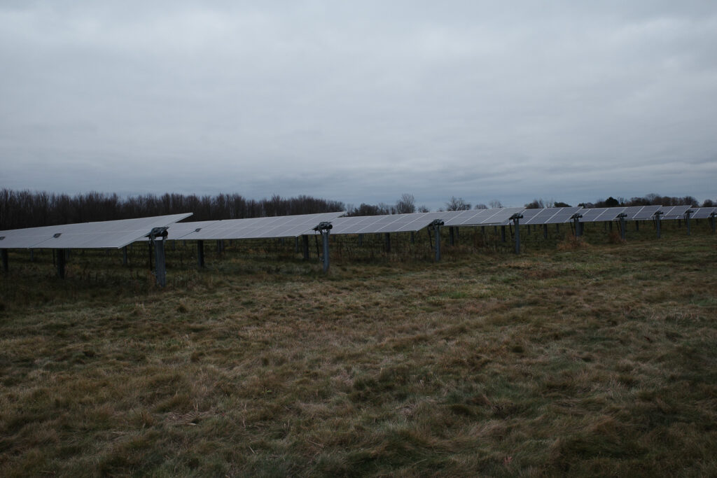 Solar panels in field