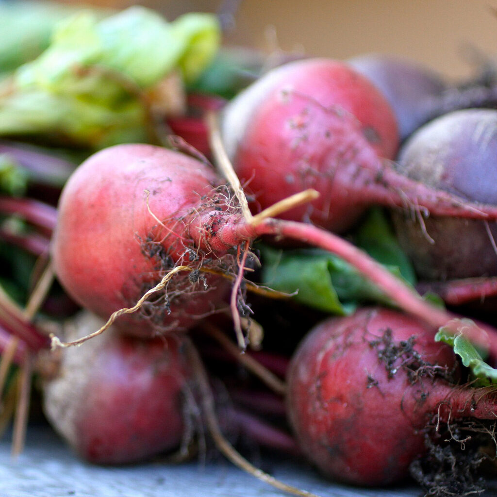 beets