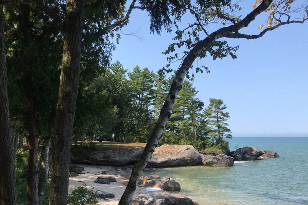 summer beach on coast