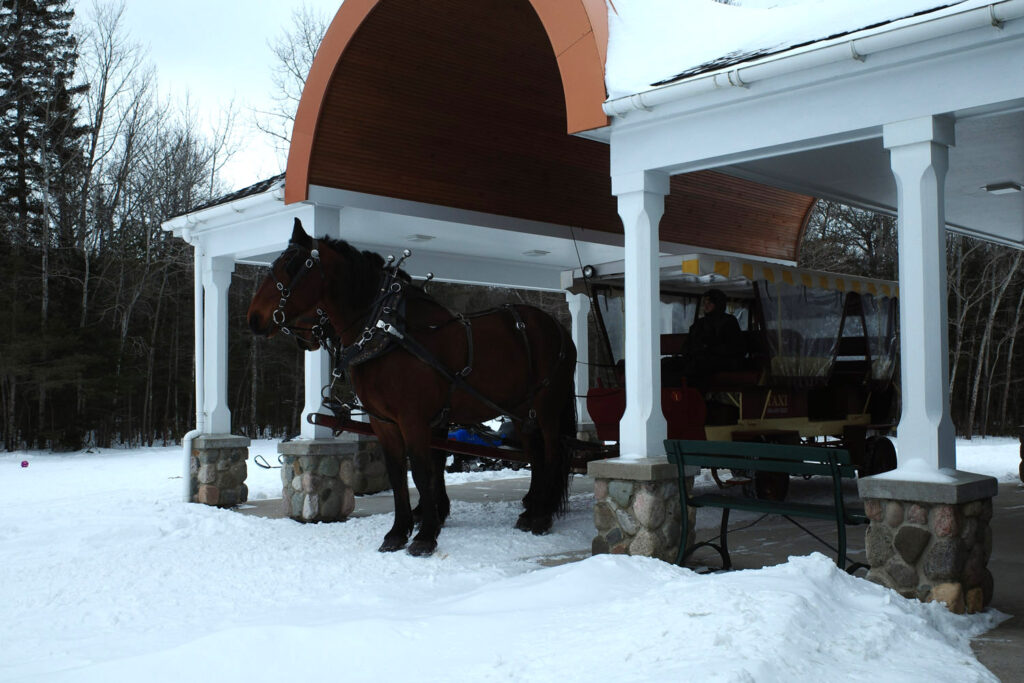 Horse drawn carriage waiting in snow