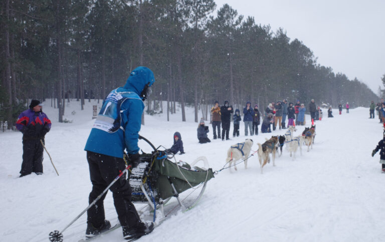 Dog sled race