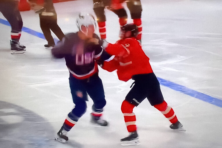 hockey fight