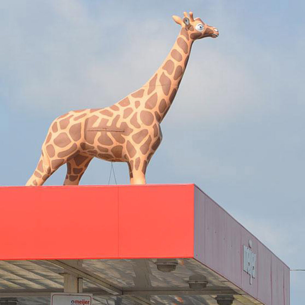 Meijer Giraffe