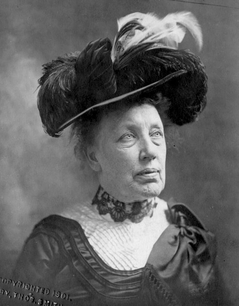 annie edison taylor