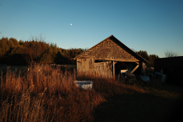 beaver island