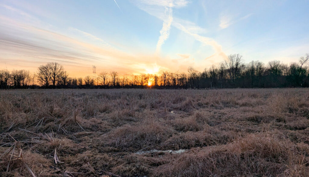 novi, michigan