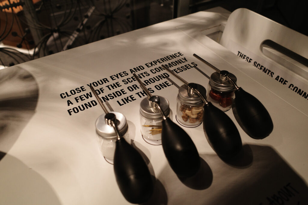 smell exhibit