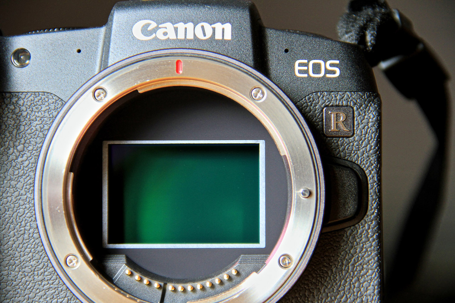 digital camera sensor