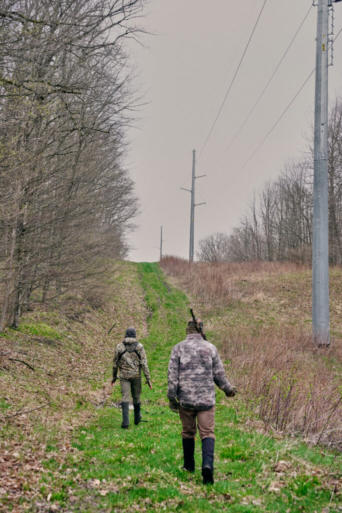turkey hunting in woods