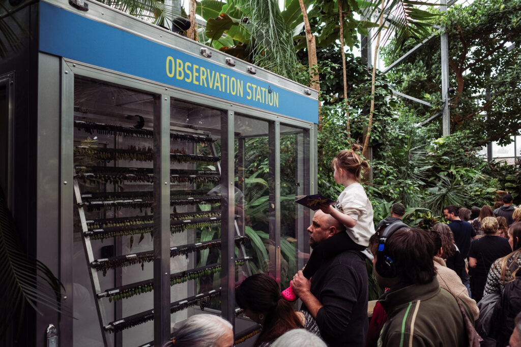 butterfly exhibit