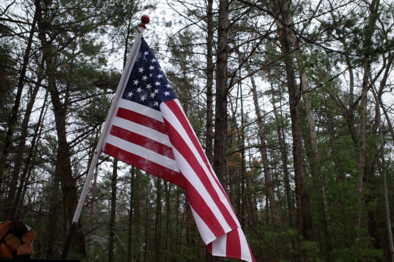american flag in woods