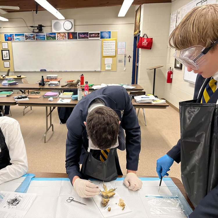 chesterton academy