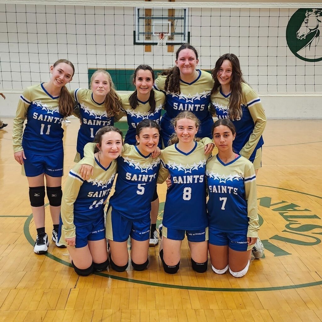 chesterton academy volleyball team