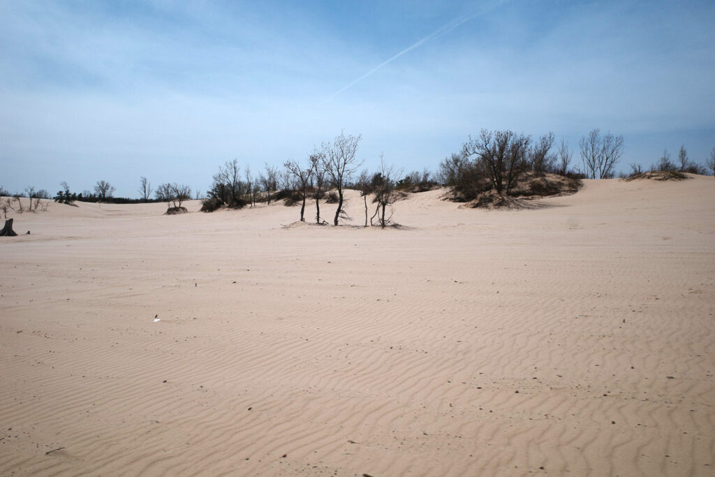 silver lake dunes and buggy
