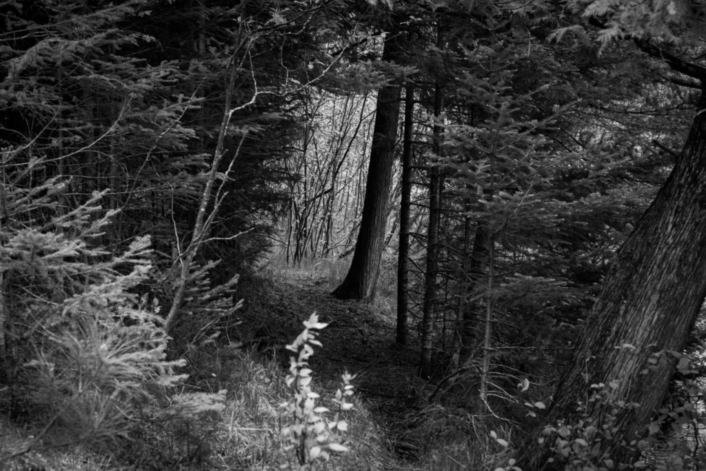 black river